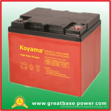 Batterie / Accumulateur Motif à haut débit 42ah 12V